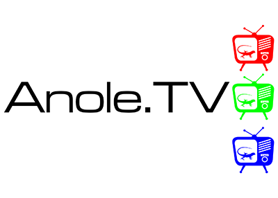 Anole TV Logo Color